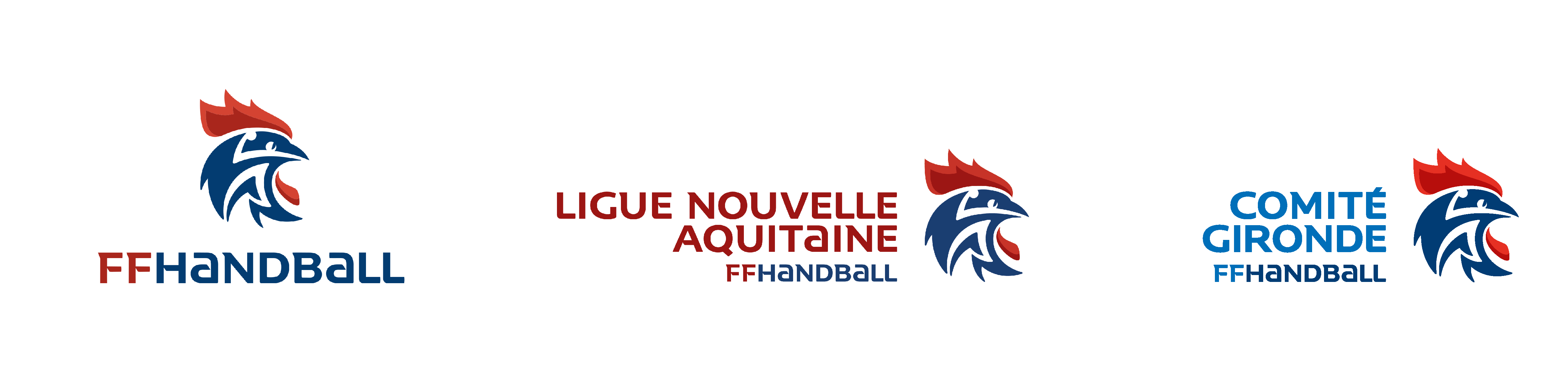 FFHandball + Ligue + Comité FFHandball + Ligue + Comité